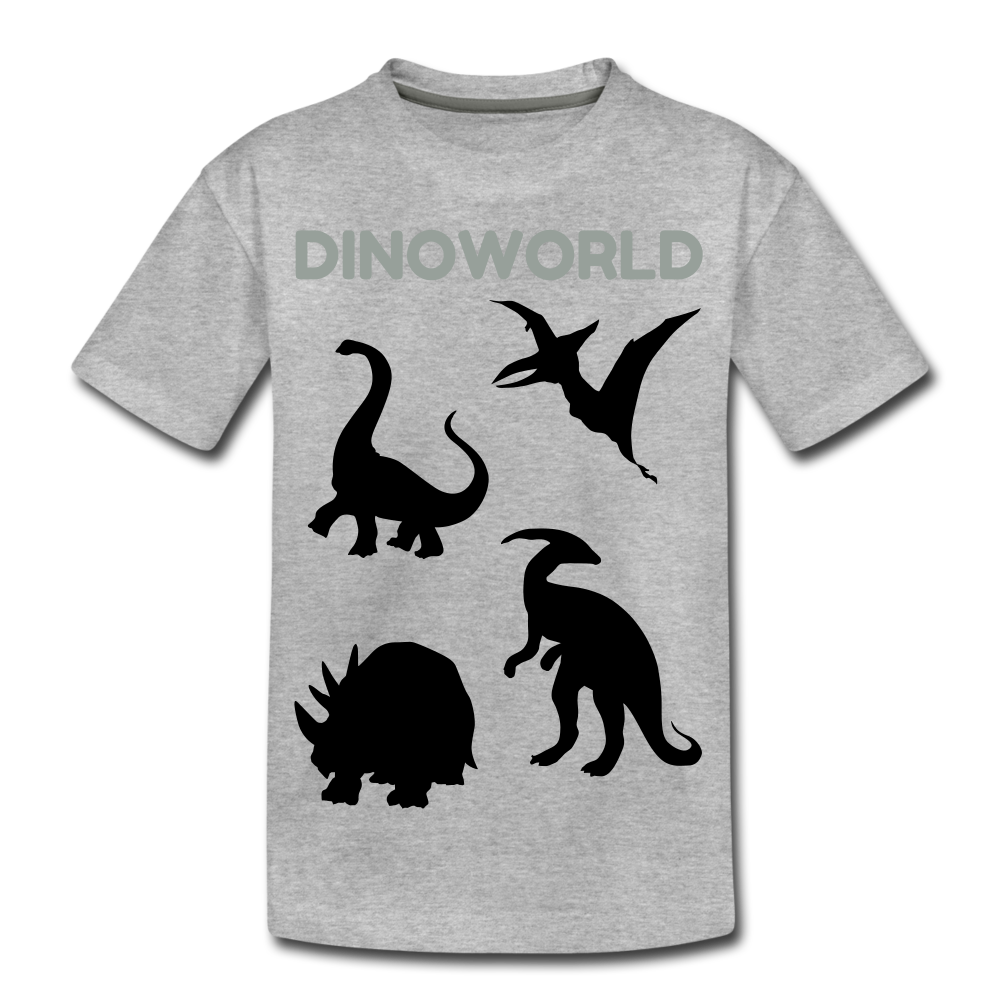 Kids' Premium T-Shirt - heather gray